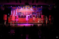 1038-Herren-Ballett-KGN-Damensitzung-20.01.24-158